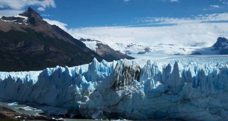 Whales, Penguins, Glaciers & End of the World - Beyond BA LATAM 9