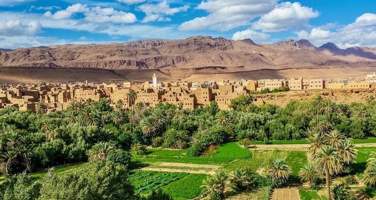 View of a lush green valley with desert mountains in the background.