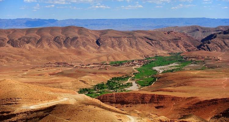 Aerial view of a red canyon landscape with green patches.