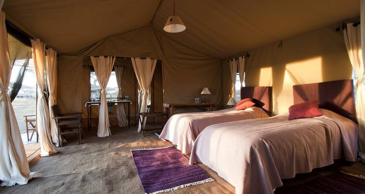 Safari de migration de la faune sauvage - 7 jours/6 nuits - Migration Venture Africa  7