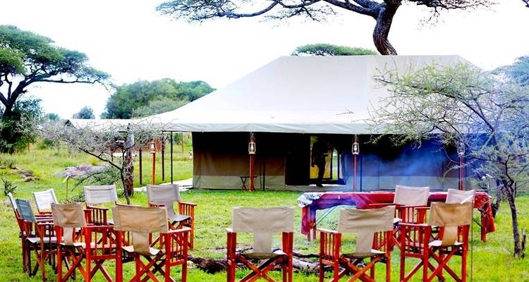 Safari de migration de la faune sauvage - 7 jours/6 nuits - Migration Venture Africa  6