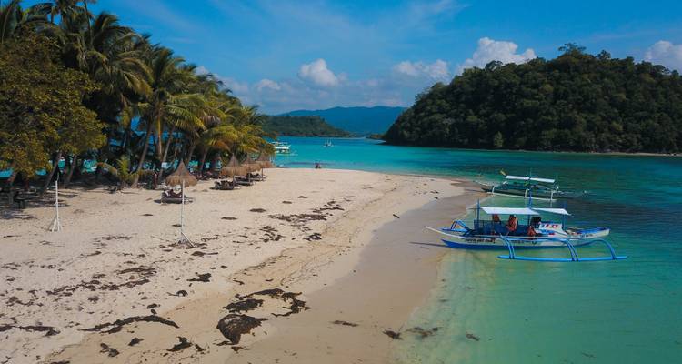 Playa bordeada de palmeras con agua azul cristalina y botes pequeños.