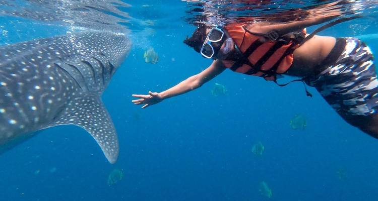 16 Days Philippines Discovery with Siargao - Do You Travel 3