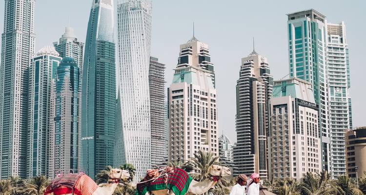 Découvrez Dubaï - 4 jours / 3 nuits - Daytur Dubai 8