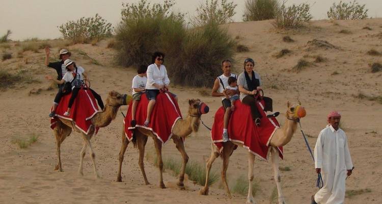 5 Star Explore Dubai Package 4 Days & 3 Nights - Daytur Dubai 3