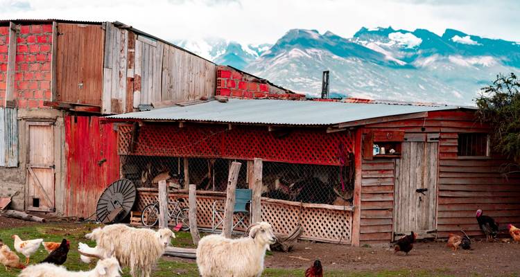 El Calafate & Torres del Paine. Glaciers de Patagonie - 5 jours - Hi Travel Argentina 8