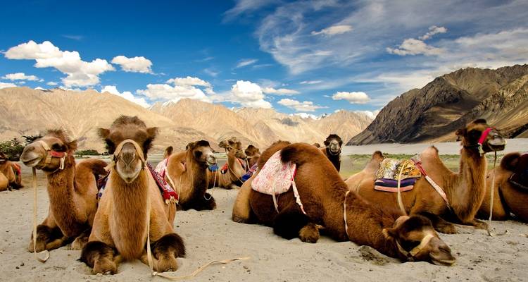 Beautiful Ladakh - UncleSam Holidays 7