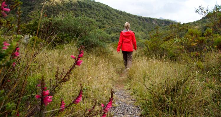 Ecuador Highland Family Adventure - Tierra del Volcan 9