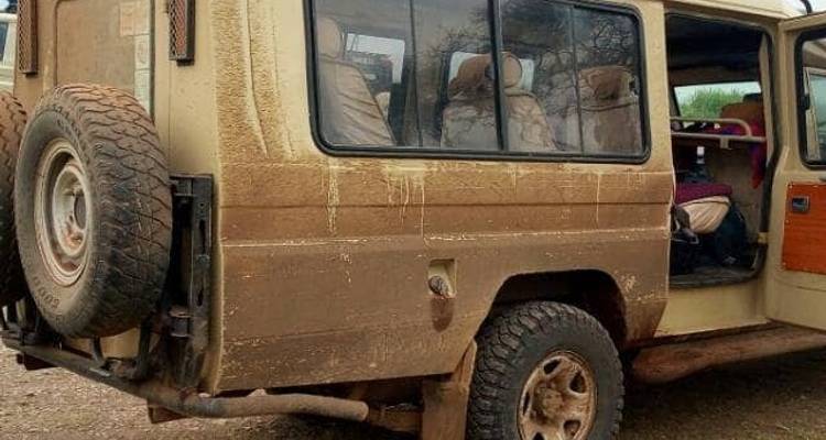 Safari privado de 3 días con acampada visitando los parques nacionales del Serengeti y el Ngorongoro - African Polecat Safaris 2