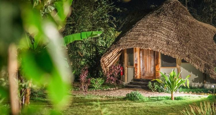 5-Days Private Midrange Safari, Materuni Waterfalls and Manyara - African Polecat Safaris 2