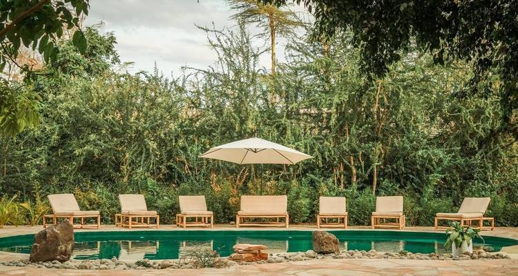 5-Days Private Midrange Safari, Materuni Waterfalls and Manyara - African Polecat Safaris 8