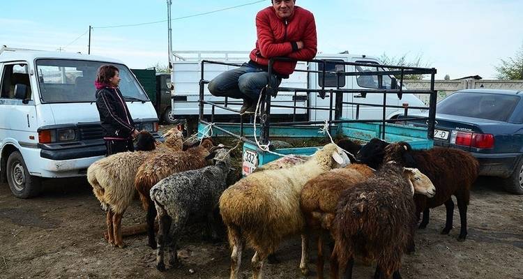 Kirguistán - 5 días con Osh, Bishkek e Issyk Kul - Steppe Journeys 2