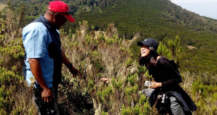 Mt. Kilimanjaro 1 Day Hike - Marangu Treks 9