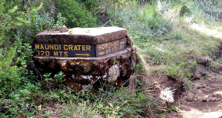 Mt. Kilimanjaro 1 Day Hike - Marangu Treks 6
