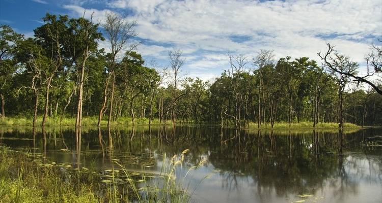 Chitwan National Park - Holy Mountain Treks 3