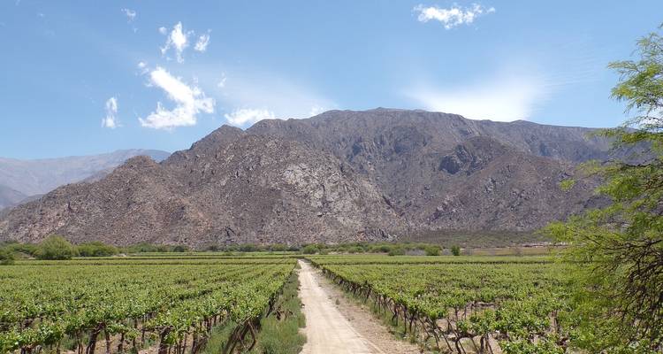 Salta, Cafayate et Humahuaca - 4 jours - Hi Travel Argentina 1