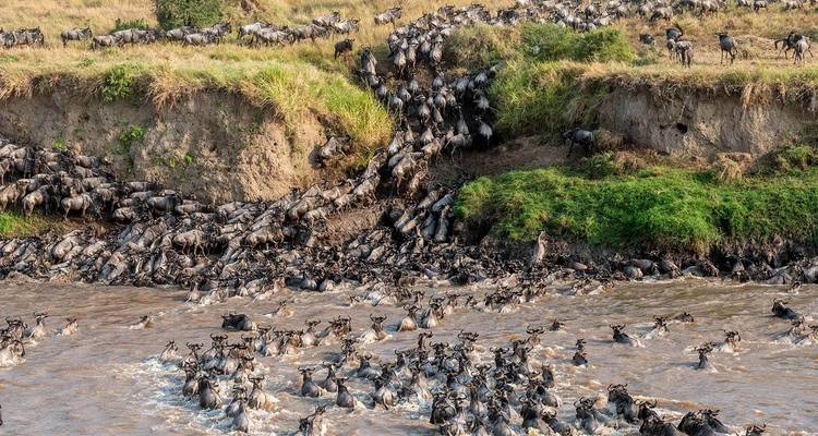 Travesía de lujo de 8 días por el río de la migración de ñus en Tanzania - Kiriwe Travel And Trekking Safaris Ltd 3