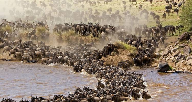 Travesía de lujo de 8 días por el río de la migración de ñus en Tanzania - Kiriwe Travel And Trekking Safaris Ltd 9