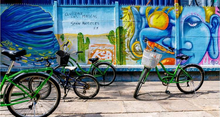 Paquete de iniciación a Santiago de Chile - 3 días - Hi Travel Argentina 6