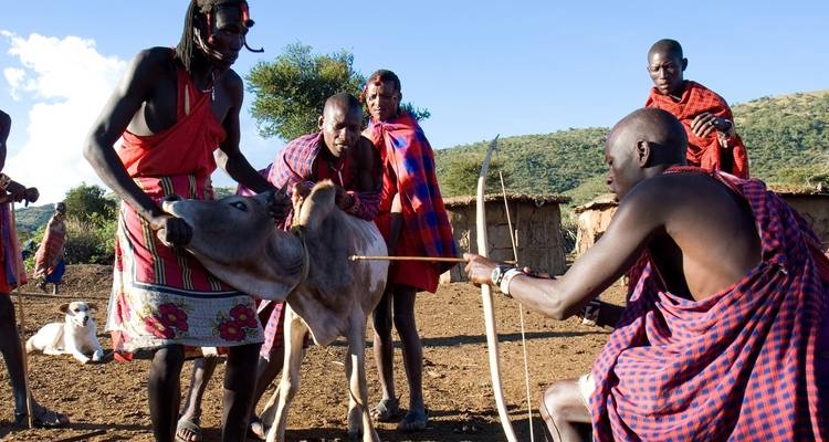 Affordable 3 Days Masai Mara Budget Safari - Safariport 7