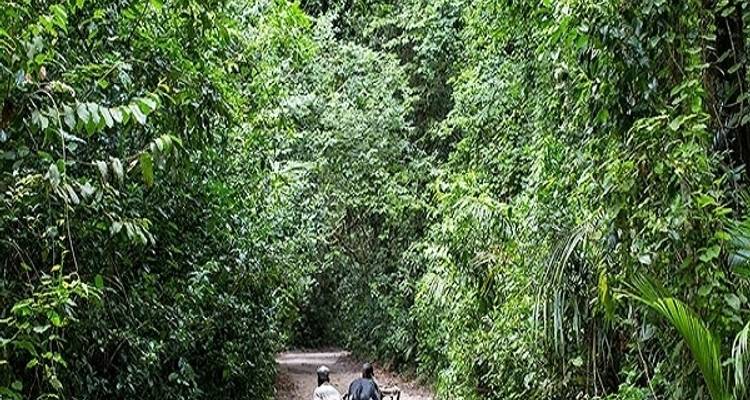 4 Days 3 Nights Pemba Beach holidays - Zanzibar View Tours And Safaris 2