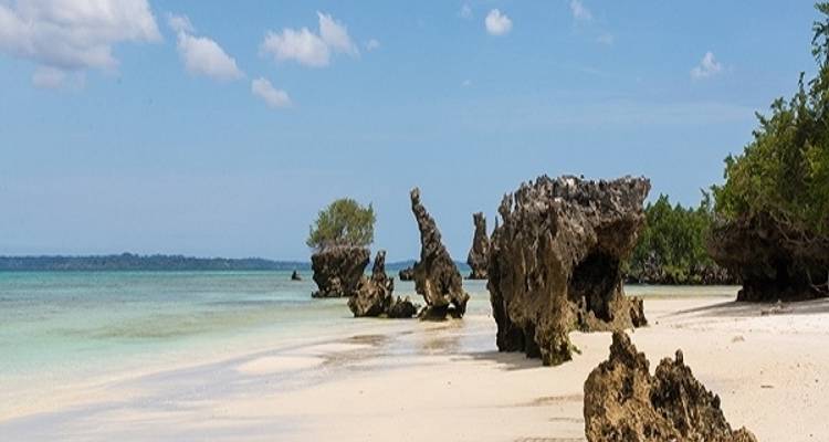 4 Days 3 Nights Pemba Beach holidays - Zanzibar View Tours And Safaris 7
