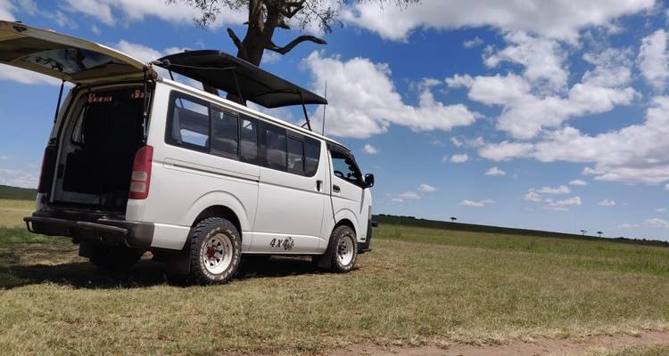 9 jours, 8 nuits Kenya et Tanzanie Safari en camping en groupe au départ de Nairobi avec transfert gratuit à l'aéroport et première nuit gratuite à l'hôtel After 40 à Nairobi. - Perfect Safari Africa tours and safaris 4