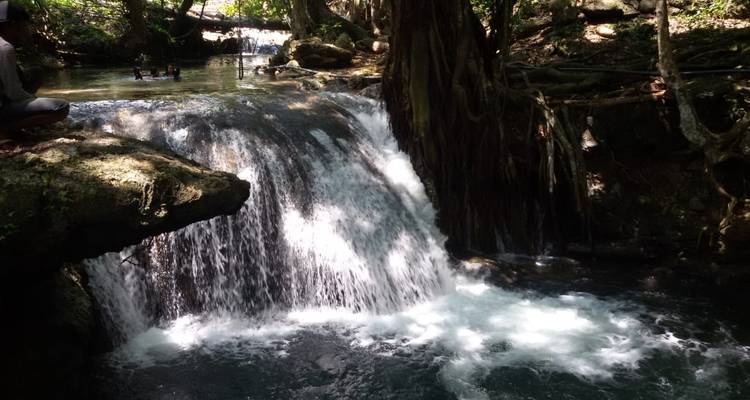 Wasserfall in einem Wald mit Menschen, die das Wasser genießen.
