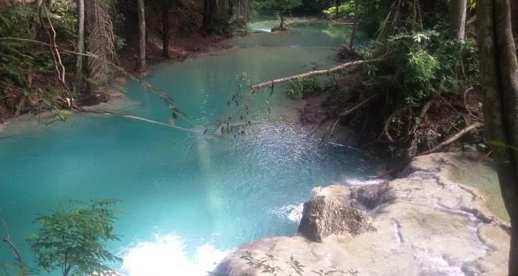 Ein türkisblauer Wasserpool in einer üppig grünen Waldumgebung.