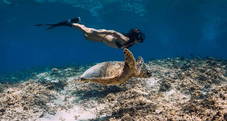 Lo mejor de Bali: experiencia en las Islas Gili y Nusa Penida por 10 días - The Bali Trip Mate 4