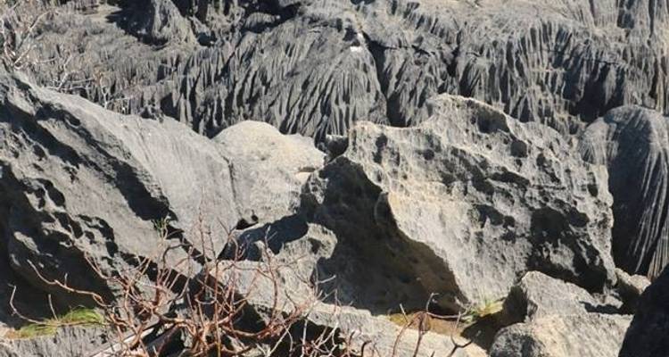 Descente de la rivière Tsiribihina et des célèbres Tsingy de Bemaraha - Sifaka Voyages 1