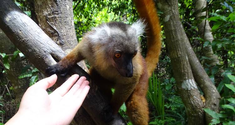 Le nord, une région étonnante - Sifaka Voyages 10