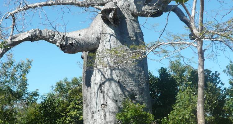 Le nord, une région étonnante - Sifaka Voyages 4