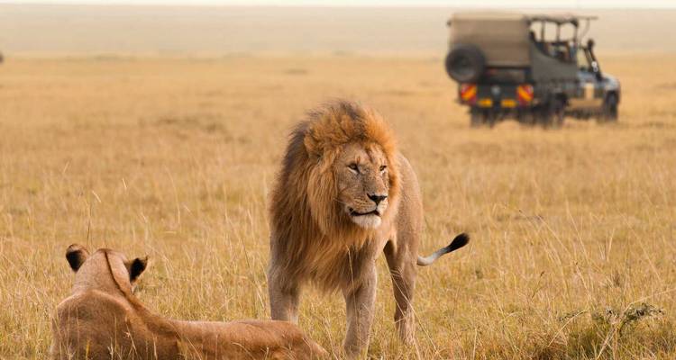 Meilleure aventure classique au Kenya et en Tanzanie - Hébergement Mi-luxe - Classic Journeys Africa Ltd 8