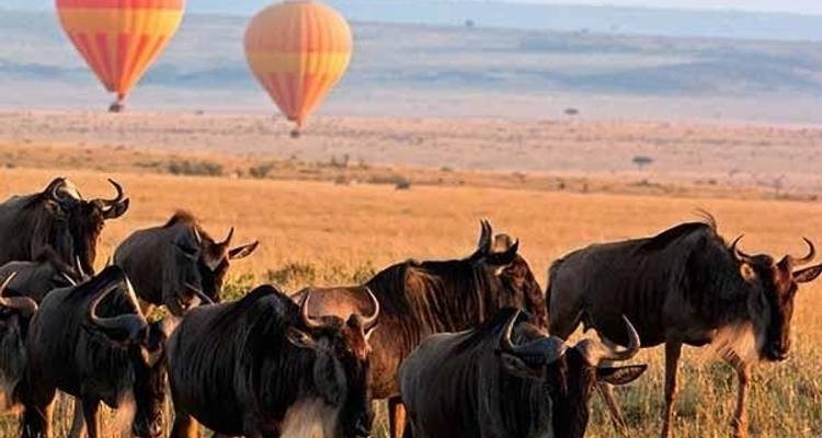 Experiencia clásica en Kenia en Tiendas de Lona 2024 - con 4X4 - Classic Journeys Africa Ltd 6