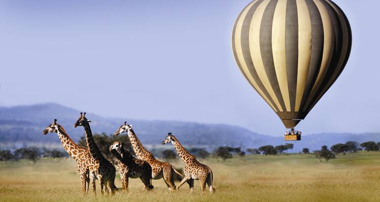 Experiencia clásica en Kenia en Tiendas de Lona 2024 - con 4X4 - Classic Journeys Africa Ltd 2