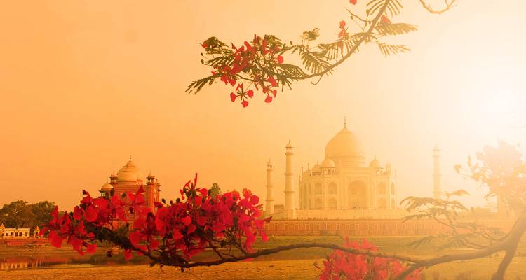 Excursion privée de deux jours au lever du soleil sur le Taj Mahal au départ de Mumbai : hôtels de luxe, vols et billets d'entrée à la file d'attente - Adreva Trotter Pvt Ltd 10