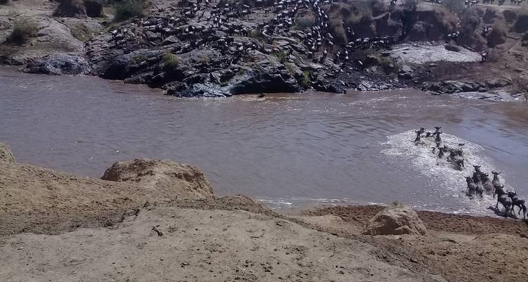 4 Days Group Joining Budget Safari To Maasai Mara Only - Perfect Safari Africa tours and safaris 6