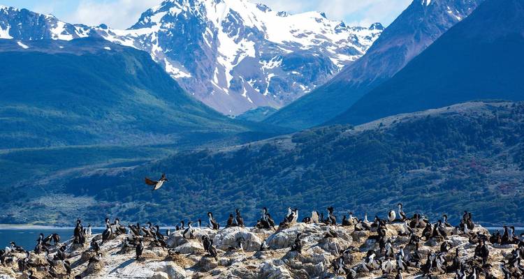Búsqueda del Círculo Polar - 12 días - On The Go Tours 6