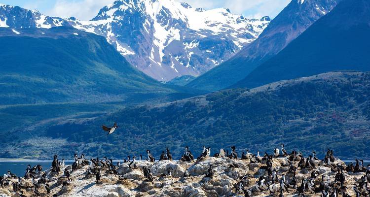Búsqueda del Círculo Polar - 12 días - On The Go Tours 4