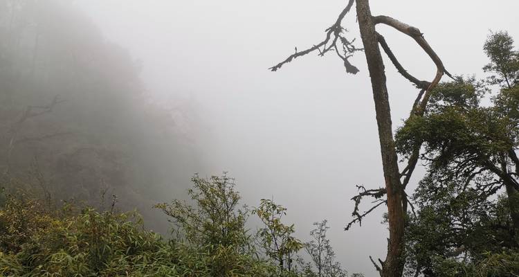 Circuito por el golfo de México: un viaje por las ciudades de la Sierra Madre Oriental - Vibe Adventures 10