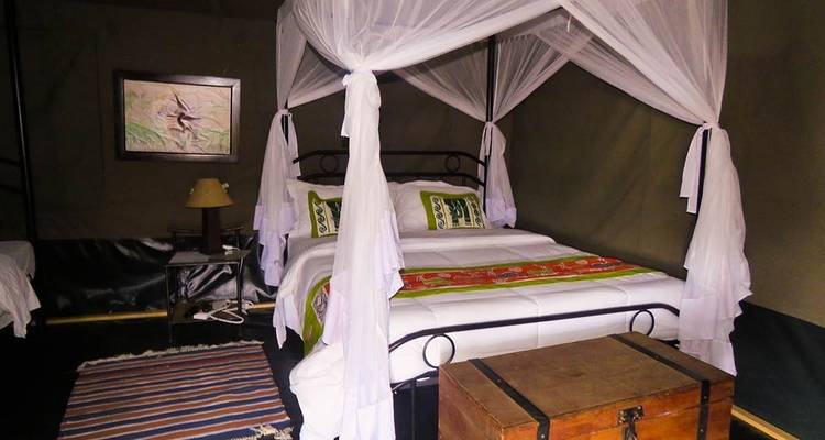 6 Days Migration Safari in Calving Season - Katikati Tours and Safaris 10