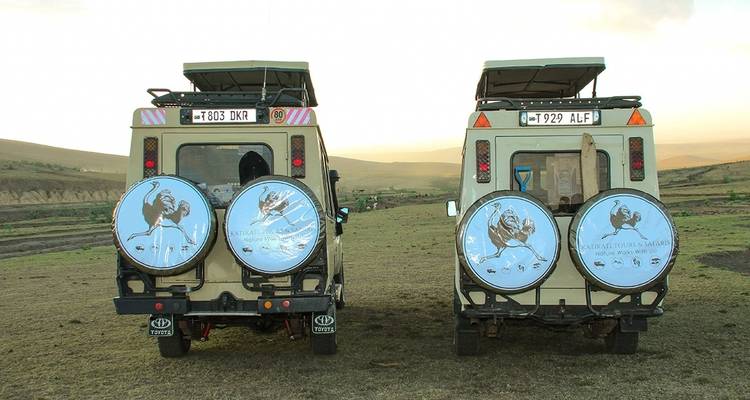 6 Days Migration Safari in Calving Season - Katikati Tours and Safaris 2