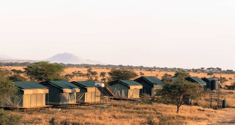 6 Days Migration Safari in Calving Season - Katikati Tours and Safaris 3