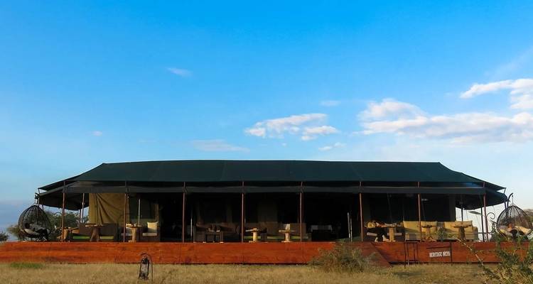 6 Days Migration Safari in Calving Season - Katikati Tours and Safaris 9