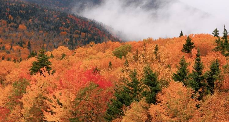 New England's Fall Foliage (Classic) - Insight Vacations 6