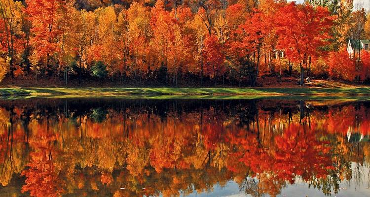Feuillage d'automne éclatant parfaitement reflété dans un étang calme de Nouvelle-Angleterre.