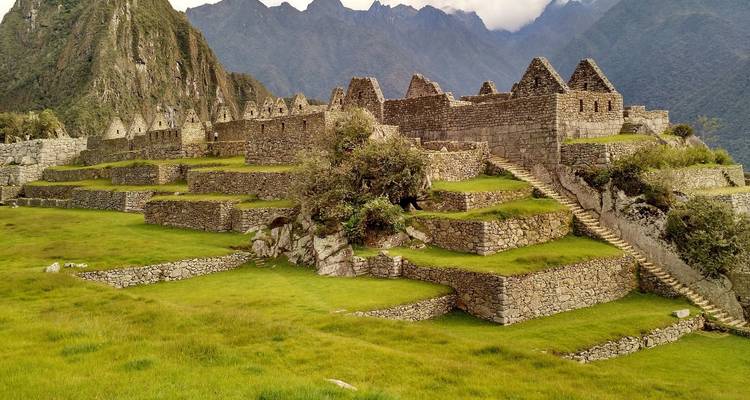 Breed uitzicht op Machu Picchu met groene terrassen.