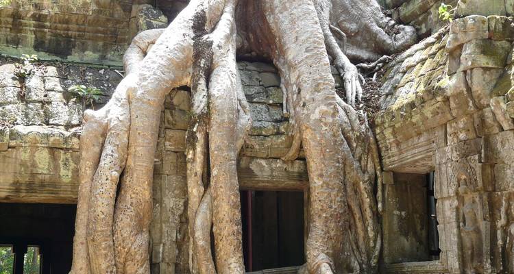 Cambodian Traveller - Intrepid Travel 10