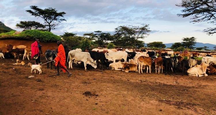 3-Day Maasai Mara Private Safari at Keekorok Lodge from Nairobi - Perfect Safari Africa tours and safaris 2